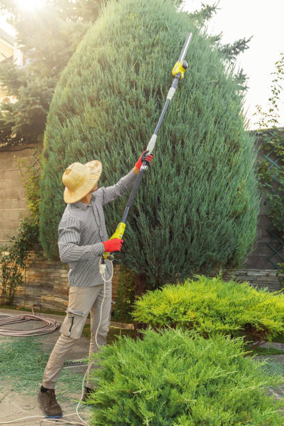 Mulching Services in Cherokee, OK